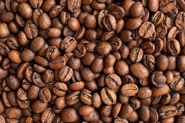 arabica roasted bean